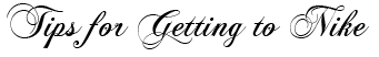 Getting to Nike Article